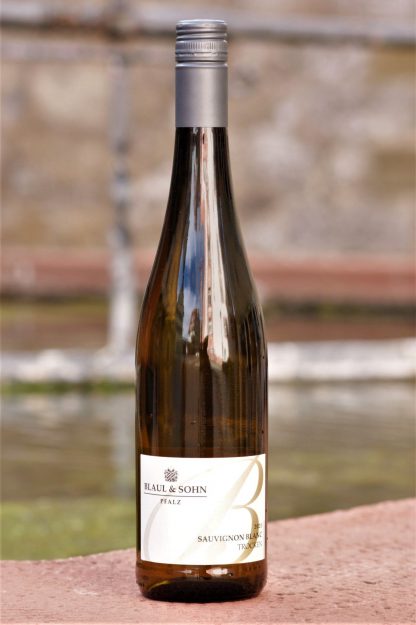 Weingut Blaul Gönnheim - Sauvignon Blanc