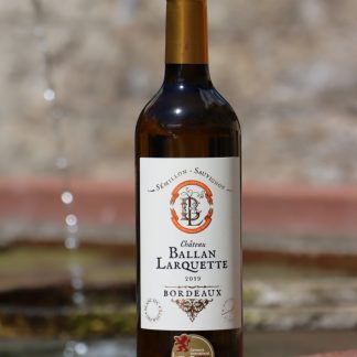 Vignobles Chaigne - Château Ballan Larquette blanc